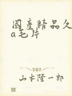 国产精品久久久a毛片