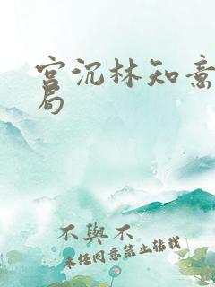 宫沉林知意大结局