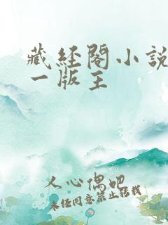 藏经阁小说网第一版主