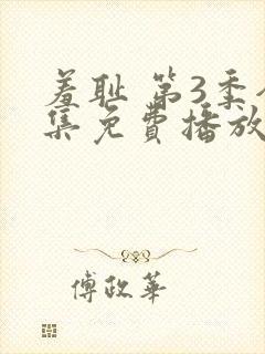 羞耻 第3季全集免费播放在线观看