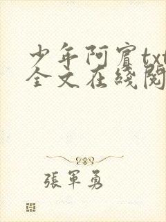 少年阿宾txt全文在线阅读