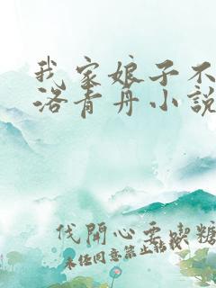 我家娘子不对劲洛青舟小说全文免费阅读免费