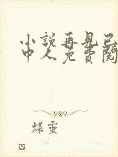 小说再见已无剧中人免费阅读