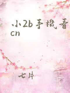 小2b手机看片cn
