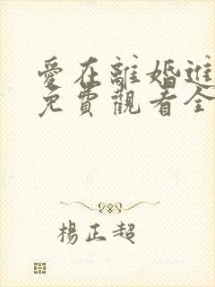 爱在离婚进行时免费观看全集高清版