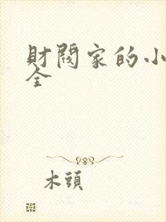 财阀家的小儿子全