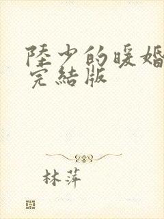 陆少的暖婚新妻完结版