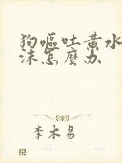 狗呕吐黄水带泡沫怎么办