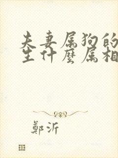 夫妻属狗的适合生什么属相的孩子