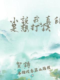 小说 我真的只是想打铁