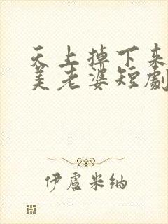 天上掉下来个绝美老婆短剧全集免费下载