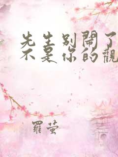 先生别闹了新娘不是你的观看