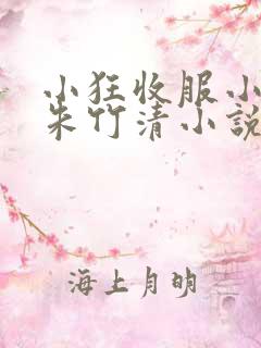 小狂收服小舞,朱竹清小说