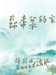 我老公的家庭教师中字