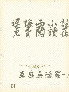 迟梅雨小说全文免费阅读在线