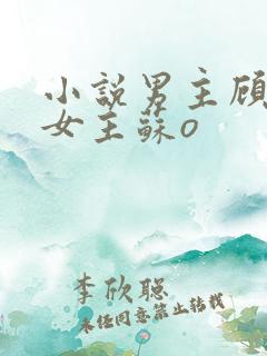 小说男主顾北弦女主苏o