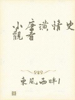 小唐璜情史在线观看