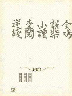 逆袭小说全文在线阅读柴鸡蛋