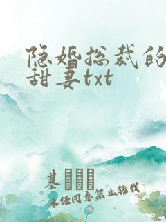 隐婚总裁的绯闻甜妻txt