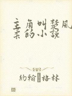 主角叫楚风和苏柔的小说