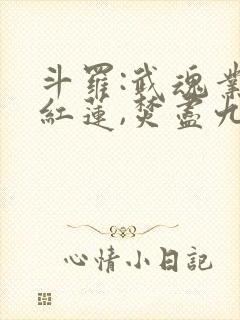 斗罗:武魂业火红莲,焚尽九天