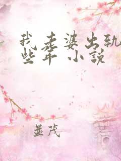 我老婆出轨的那些年 小说