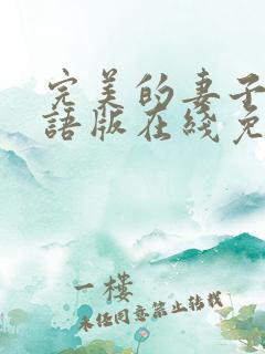 完美的妻子5国语版在线免费观看