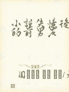 小说失忆后多了的前男友