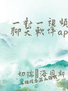 一对一视频聊天聊天软件app