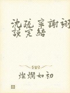 沈疏宁谢翊川小说完结