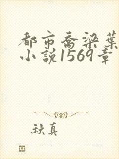 都市乔梁叶心仪小说1569章