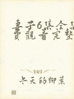 妻子6集全集免费观看完整版