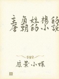 主角姓杨的穿越唐朝的小说