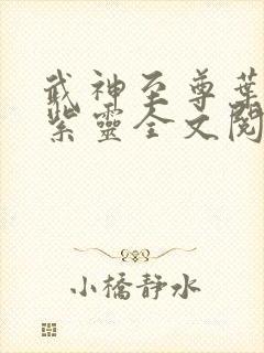 武神至尊叶风叶紫灵全文阅读