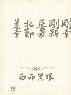 叶北辰刚刚更新章节最新章节免费阅读