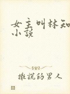 女主叫林知意的小说