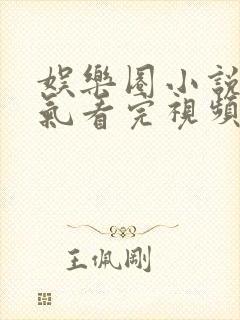 娱乐圈小说一口气看完视频