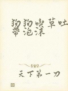 狗狗吃草吐黄水带泡沫