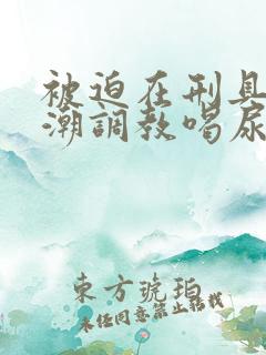 被迫在刑具上高潮调教喝尿男男,双性人