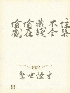 偷偷藏不住电视剧在线全集免费