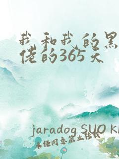我和我的黑帮大佬的365天