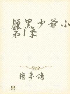 腹黑少爷小甜妻第1季