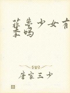 菲梦少女有第3季吗