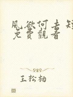 风欲何去 短剧免费观看