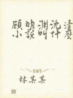 顾明渊沈清烟的小说叫什么名字