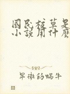 国民校草是女生小说用什么app可以免费