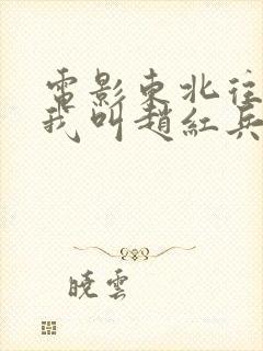 电影东北往事:我叫赵红兵完整电影