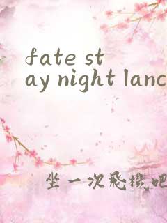 fate stay night lancer