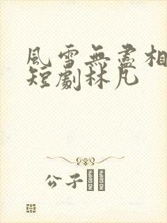 风雪无尽相思情短剧林凡