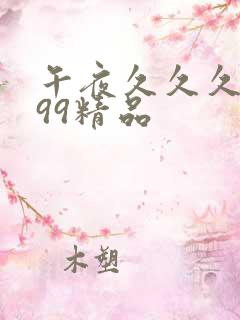午夜久久久久久99精品